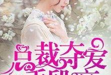 总裁夺爱失婚妻
